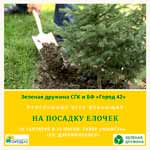 Кемеровчан приглашают на посадку деревьев «Городской лес»
