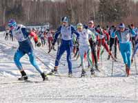 В Кемерове пройдет  лыжная гонка «Лыжня России - 2016»
